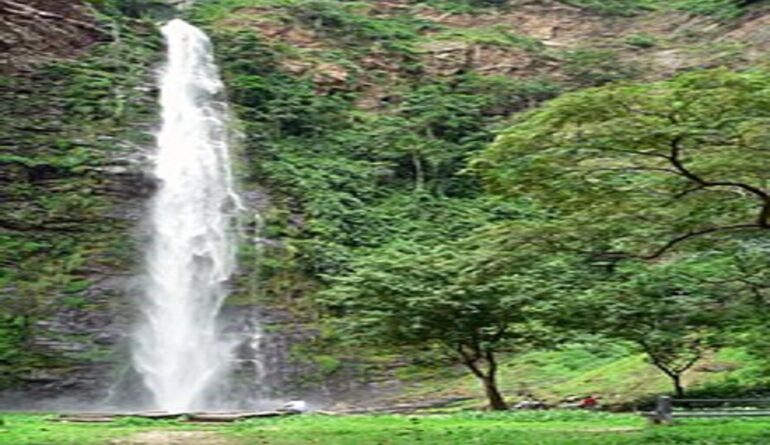 Wli_Lower_Fall-4 (1)